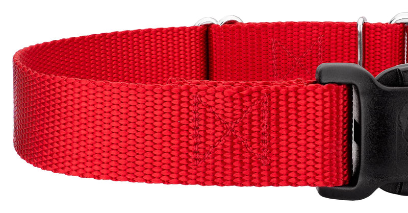 Country Brook Petz Heavy Duty Nylon Adjustable Martingale Dog Collar with Deluxe Buckle for Small Medium Large Breeds - 30+ Vibrant Color Options (5/8 Inch, Extra Small, Bright Red) Extra Small (Pack of 1) - PawsPlanet Australia