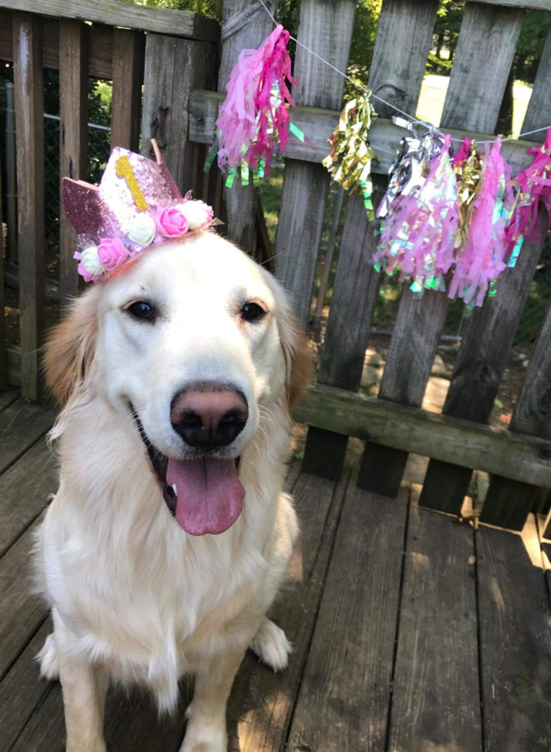 PET SHOW Pink Crown Dog Birthday Party Hat for Girls Reusable Birthday Party Cat Kitten Headband with 0-9 Figures Charms Grooming Accessories with Glue Pack of 1 - PawsPlanet Australia