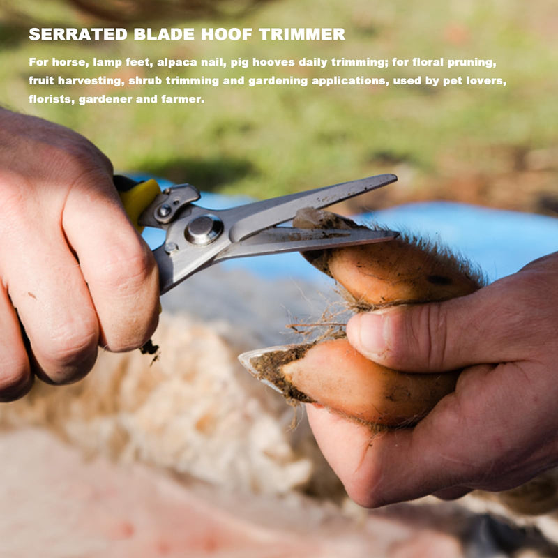 Farrier Tools, 8 Inch Farrier Tool Kits (8 Piece) Goat Hoof Trimmers Mini Rasp Hoof File Goat Pig Equine Metal Shears Professional Farriers Hoof Nipper Cutter Handle Knife Goat Supplies
