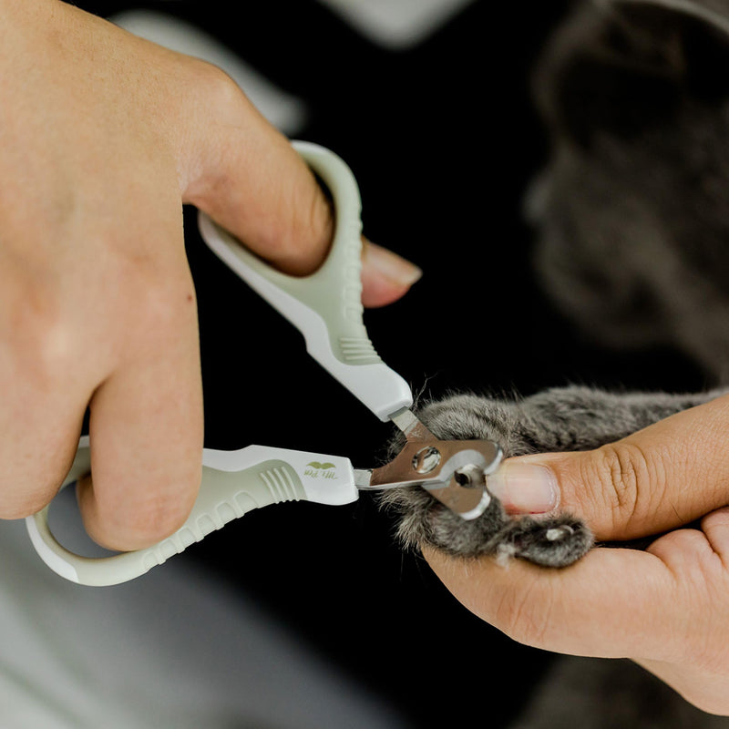 Mr. Pen Cat Nail Trimmer - Light Beige, Also Suitable for Kittens and Small Dogs - Cat Claw Trimmer - PawsPlanet Australia