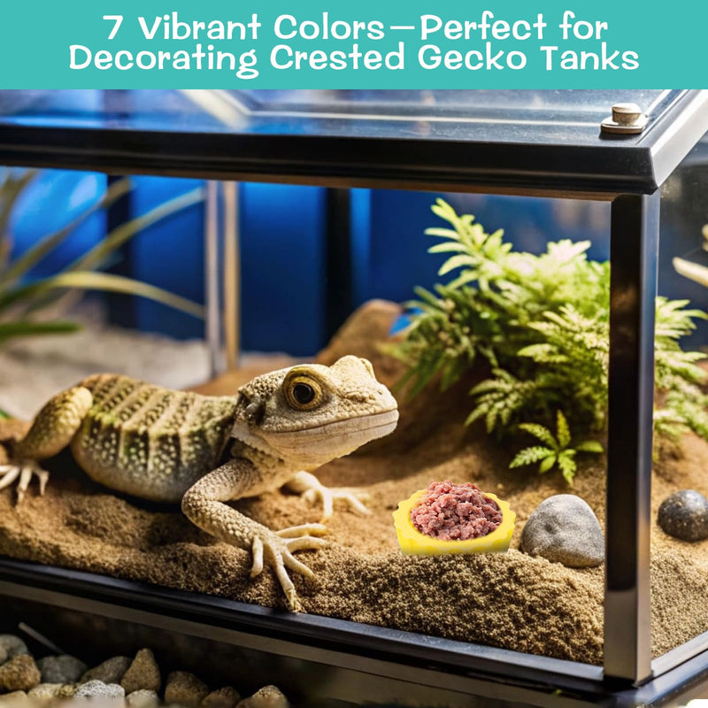 7 Pack Crested Gecko Food Dish Reusable Small Crested Gecko Food Cups Water Feeding Cup Bowl Colorful Silicone Reptile Feeding Cups for Tortoise, Small Pet and Crab - PawsPlanet Australia