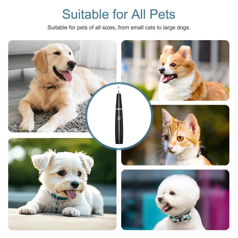 Upgraded Dog Plaque Remover for Teeth, Electric Pet Teeth Cleaning Kit, USB Charging Dog Tooth Brushing Kit, 5 Modes, IPX6 Waterproof Pet Ultrasonic Toothbrush Cleaner for Dogs Cats - PawsPlanet Australia