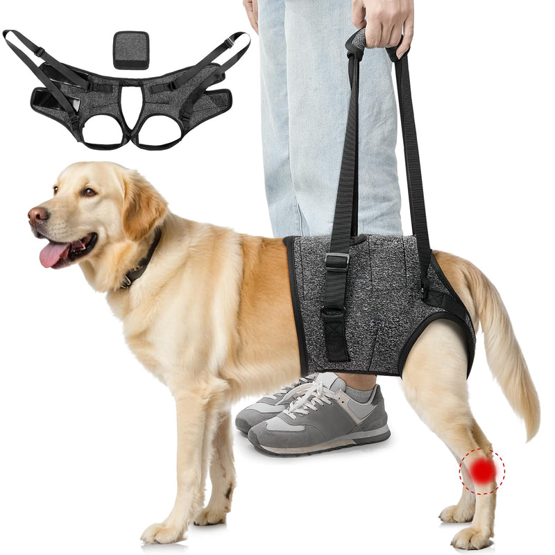 Eyein Adjustable Dog Lifting Harness - Comfortable Dog Sling Hip Support for Back Legs, Soft Hind Assistance Vest for Senior, Injured, Arthritic, Disabled and Aid After Acl Surgery(Grey,L)