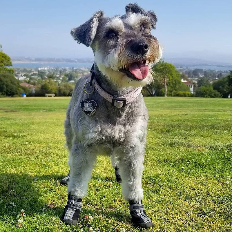 QUMY Dog Shoes for Small Dogs, Puppy Dog Boots & Paw Protectors for Winter Snowy Day, Summer Hot Pavement, Waterproof in Rainy Weather, Outdoor Walking, Indoor Hardfloors Skid-Resistant Sole Black 2 size 2: 1.59"x1.18"(L*W)