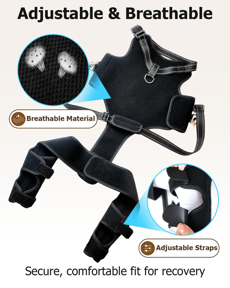 2-in-1 Dog Knee Brace and Lift Harness, Adjustable Back Leg Support with Stabilizers for ACL Recovery & Joint Care, Dog Sling for Hind Legs, Mobility Aid for Elderly Dogs with Luxating Patella (M) M