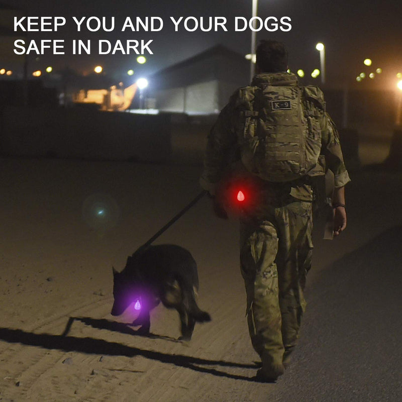 6-Pack Rechargeable Dog Light, Dog Collar Light,Waterproof,3 Modes LED Dog Safety Lights,Multiple Color Options,Clip On Collar, Leash,Harness，Night Light for Running,Climbing,Camping - PawsPlanet Australia