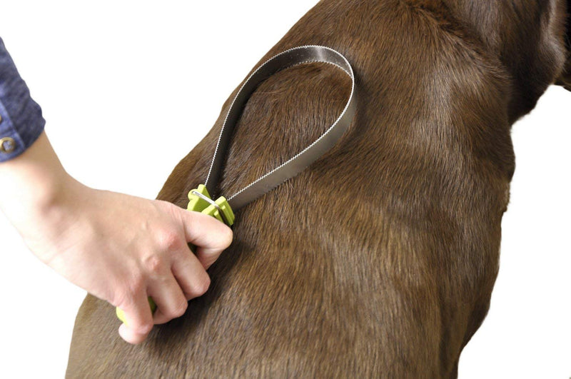 Grooming Shedding Blade for Pets and Horses - PawsPlanet Australia