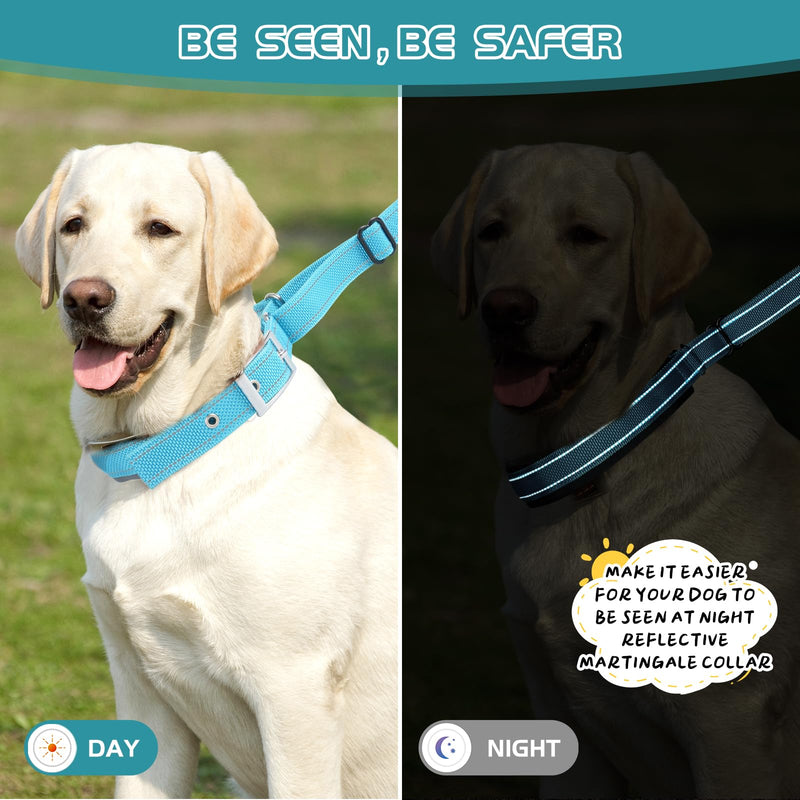 Adjustable No Pull Dog Collar - Heavy Duty Martingale Slip Collar with Reflective Widened Nylon & Metal Buckle for Training Walking Hunting (Small/Medium/Large Dogs),Blue,L L Blue - PawsPlanet Australia