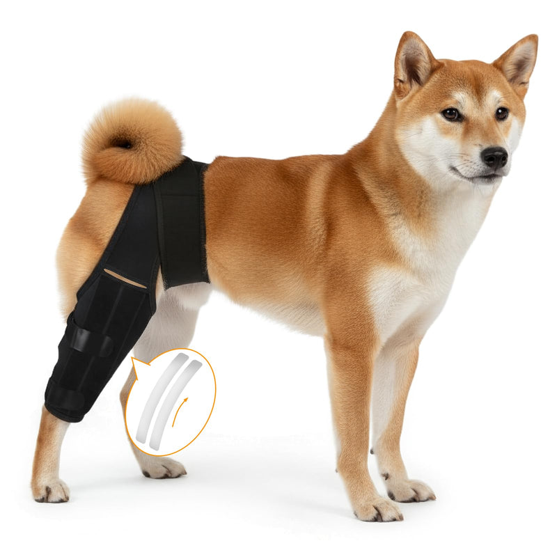 Dog Knee Brace for Hind Leg – Adjustable Rear Leg Support with 2 PP Resin Bars, Helps Torn ACL, Ligament Injuries, Luxating Patella & Hip Dysplasia Recovery for Left/Right Hind Leg (M)