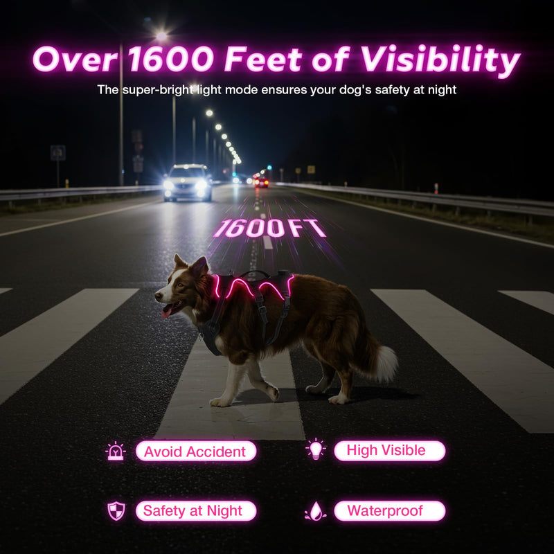 Light Up Dog Harness LED Dog Vest - USB-C Rechargeable RGB 9-LED, Slow/Fast Rainbow Modes, Reflective No-Pull Harness with Dual D-Rings & Handle for Small to XL Dogs (Black, L) Black - PawsPlanet Australia