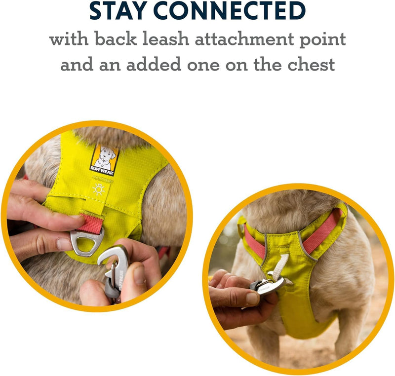 RUFFWEAR Hi & Light Dog Harness, No Pull Harness for Dogs Small, Medium Large & XL. Fully Adjustable Lightweight Harnesses with Aluminium Lead Attachment Portal & ID Bag, Lichen Green (S, 56-69cm) - PawsPlanet Australia