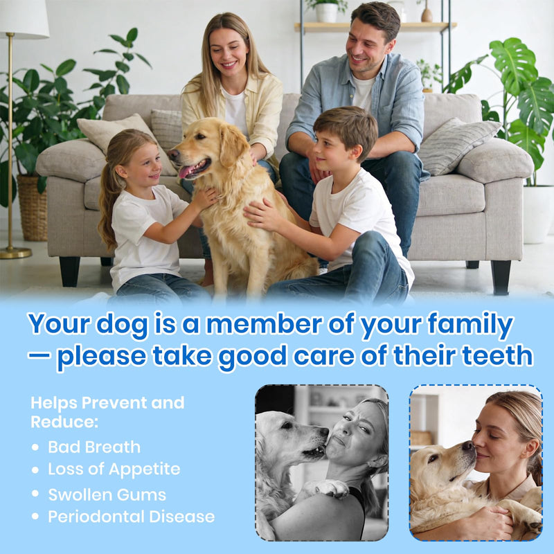 Dog Plaque Remover for Teeth, Pet Ultrasonic Cleaner with LED Light & Stand, 5 Modes, Pet Teeth Cleaning kit, Suitable for Dogs and Cats