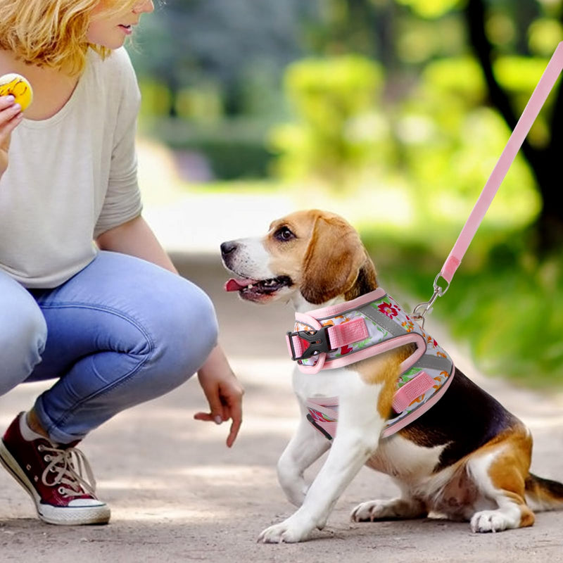 Floral cat Leash and Harness Set. The cat Harness Escape Proof Feature Allows You to Walk You cat, Small Dog or Rabbit Without Worries. This Kitten Harness and Leash is Cute and Trendy - PawsPlanet Australia
