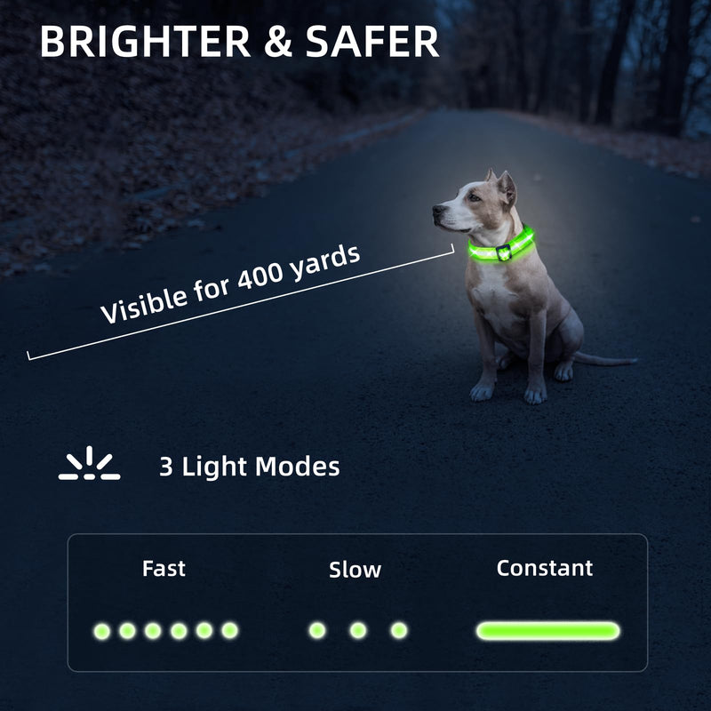 Super Bright LED Dog Collar - Fully Waterproof & Adjustable Glow Collar - USB-C Rechargeable for Night Walking, Safety - Flashing Lighted Collar for Dogs(Green,Medium) Medium (14.5" - 19.5" ) Green - PawsPlanet Australia