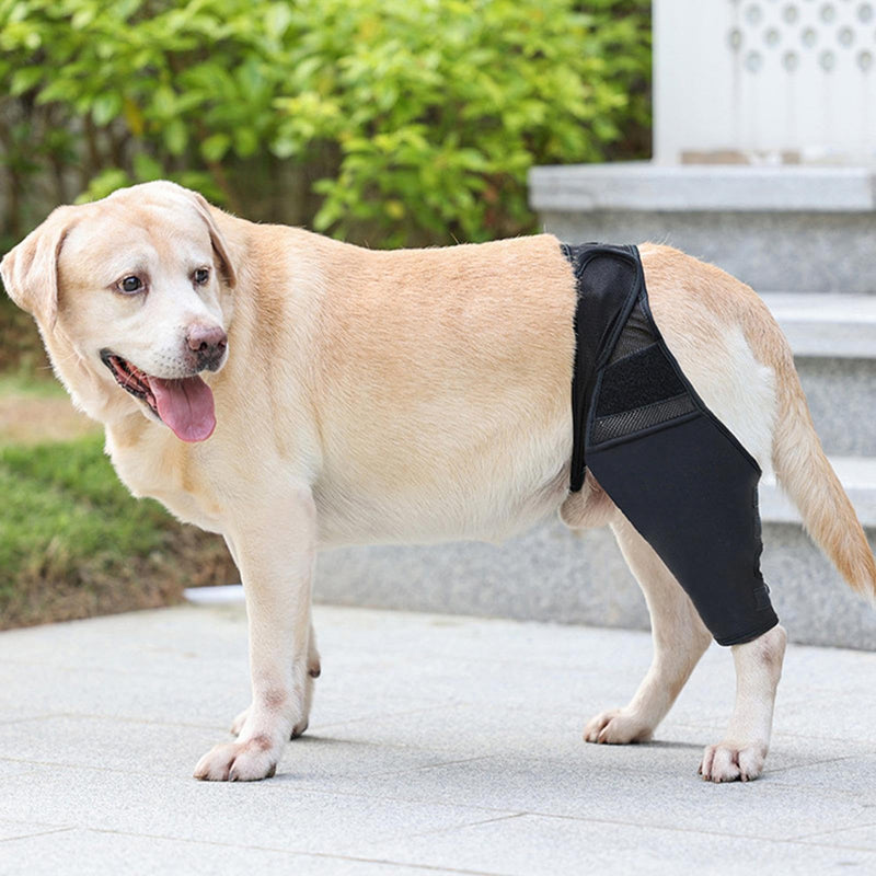 Hip Joint Bandage for Dogs, Knee Brace for Dogs Made of Breathable and Elastic Fabric, Wear-resistant Hip Bandage for Dogs Made of Breathable and Elastic Fabric for the Limbs Black M