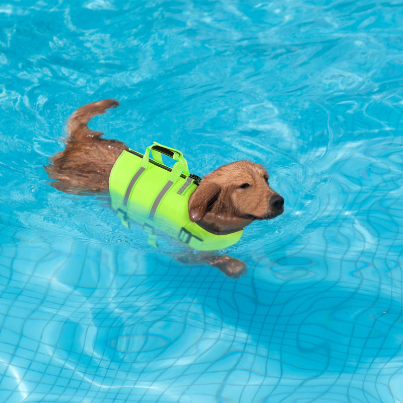 SAWMONG Dog Life Jacket,Dog Swimming Vest with Ripstop and High Flotation for Small Medium Large Dogs,Reflective Lightweight Dog Life Preserver with Rescue Handle for Swimming Boating Green L