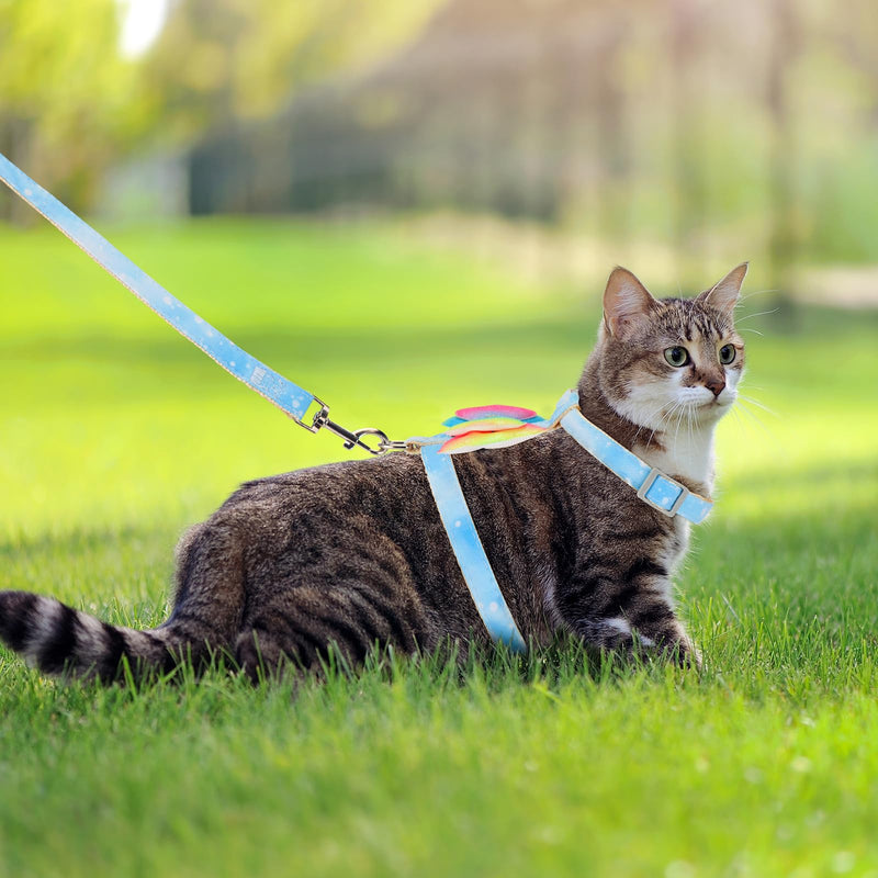 Cat Harness and Leash Set Cats Escape Proof Adjustable Kitten Harness Comfortable Soft Kitten Leash for Large Cats Easy to Wear Outdoor Walking Travel Colorful Bow Wing Gradient Blue (M) M - PawsPlanet Australia