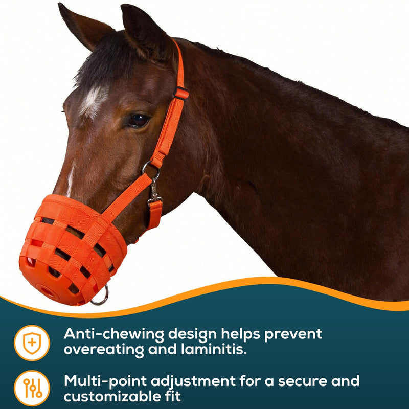 Durable Ventilated Grazing Muzzle with Attached Breakaway Halter - Lightweight Horse Muzzle, Supports Natural Grazing, Restricts Food Intake, Padded Noseband Onyx Orange