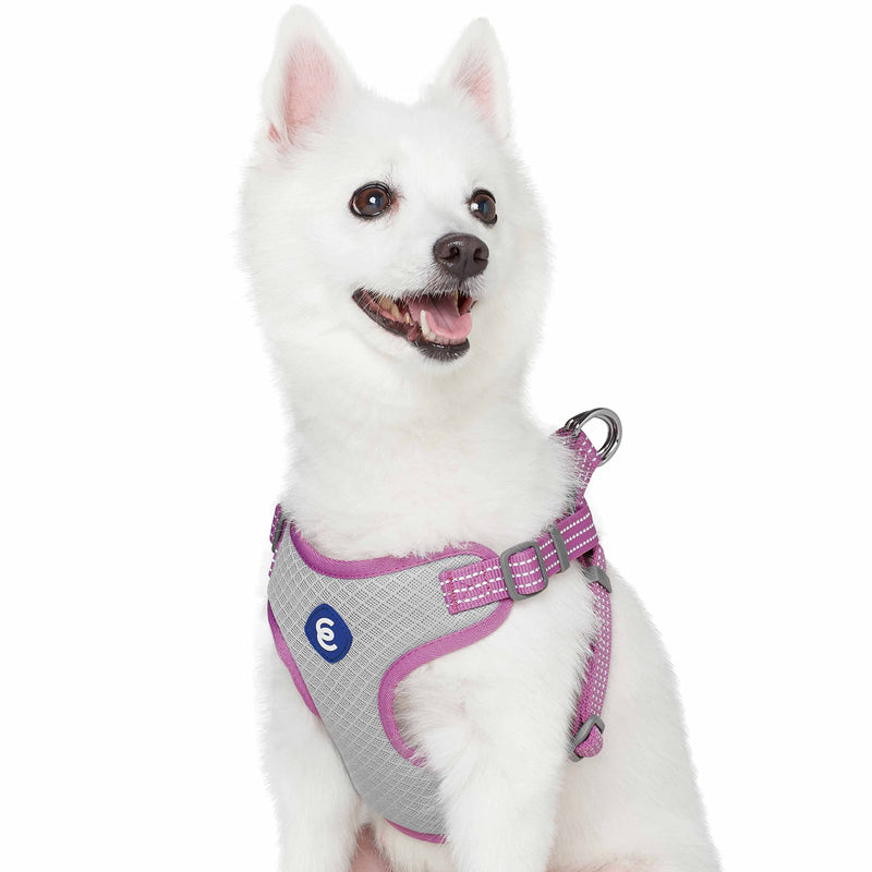 Blueberry Pet Essentials Back to Basics Reflective Dog Harness Vest, Mauve Orchid, Small, Adjustable Harnesses for Dogs Small (Pack of 1) - PawsPlanet Australia