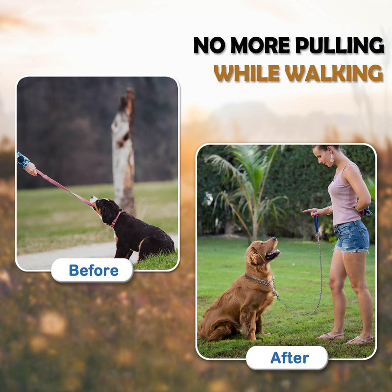 Dog Chain Collar Metal Martingale Collar Anti Chew Training Collars Chew Proof Dog Slip Collar Chrome Plated Double Link Dog Collar for Small Medium Large Dogs (Medium for Neck 16-19'') Medium(suit for neck 16-19'') - PawsPlanet Australia