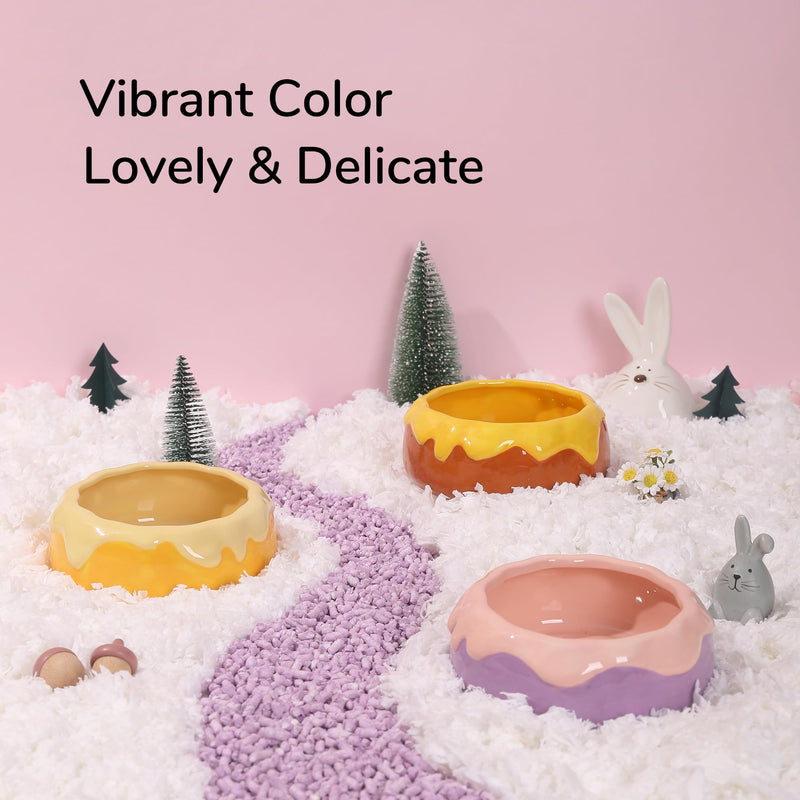 Guinea Pig Food Bowl Hamster Ceramic Water Dish Anti-Spill & Prevent Tipping Rabbit Feeding Bowl for Guinea Pig, Syrian Hamster, Bunny, Rat, Chinchilla, Squirrel, Small Animal (Honey Orange) Honey Orange - PawsPlanet Australia