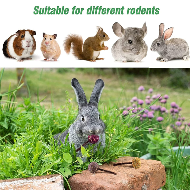 20 Pcs Rabbit Chew Toys for Teeth, Natural Wood Sticks Timothy Grass Chew Bunny Treat Toys for Rabbit Guinea Pig Hamster Chinchilla Gerbil