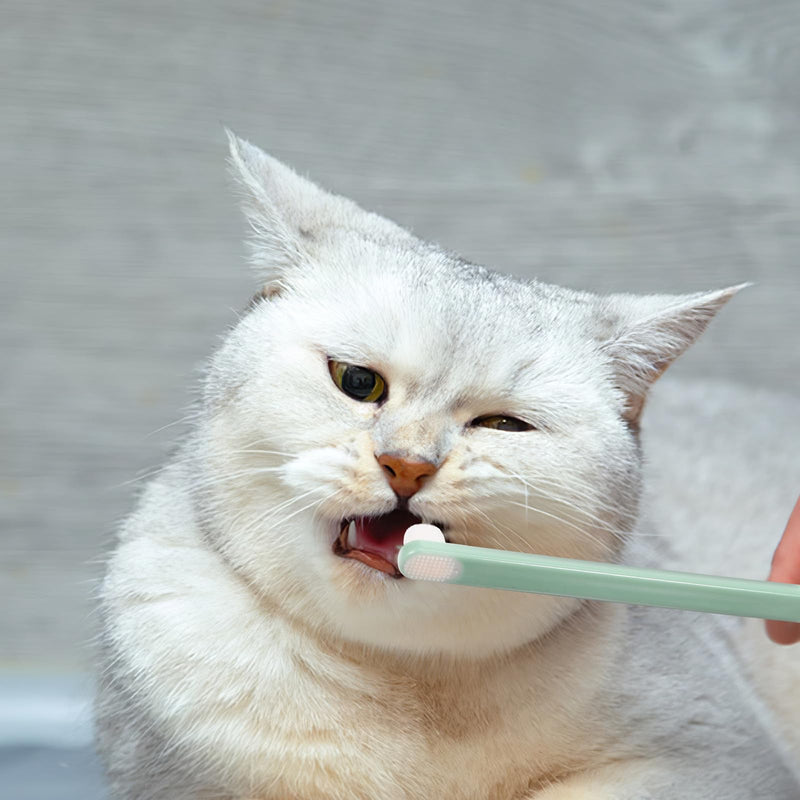 Cabilock Toothbrushes for Dental Care, 3 Pieces, with Soft Bristles for Pets and Durable Plastic for Everyday Use by Dogs and Cats