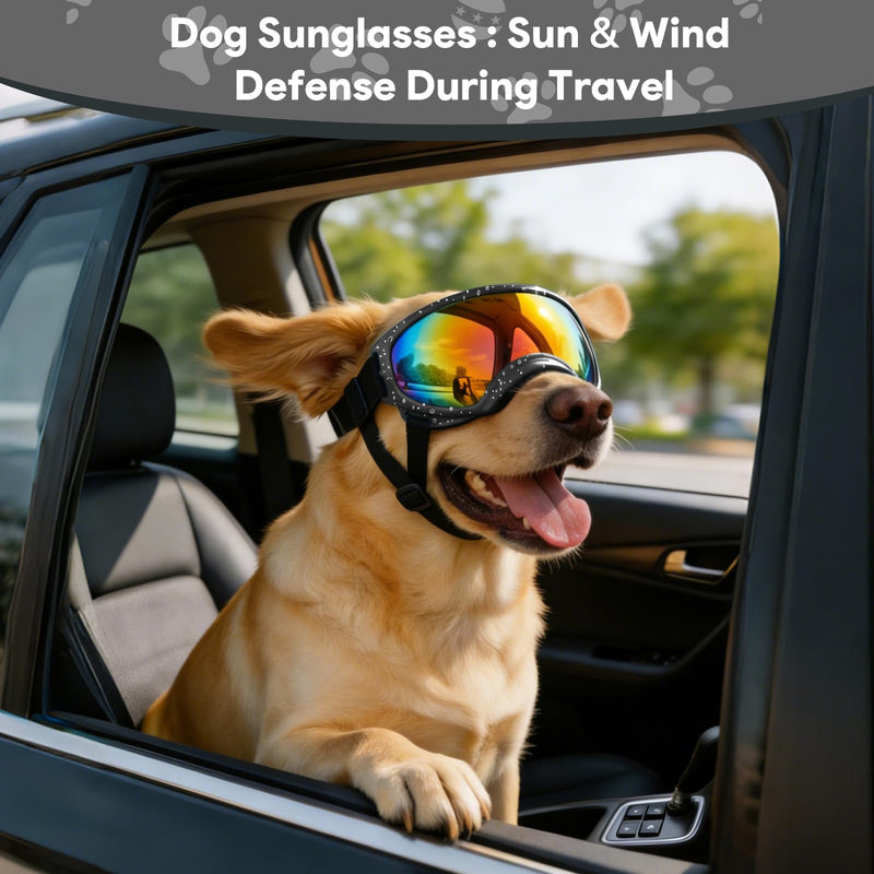 Dog Goggles for Medium Breed, Windproof Dustproof Anti-UV Sunglasses with Adjustable Strap & Soft Frame, Lightweight Breathable Design for Running Hiking Beach Outdoor Activities (Black) Black - PawsPlanet Australia