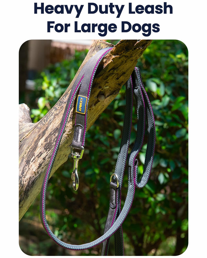 Dog Leashs for Medium Dogs, Heavy Duty Two Handles for Extral Control and Training, Three-Layer Sandwich Mesh-Lined Nylon Webbing, Sturdy Metal Zinc Hook, 6FT Long (Purple/Grey, 3/4'' X 6ft.) 3/4'' X 6ft. Purple/Grey - PawsPlanet Australia