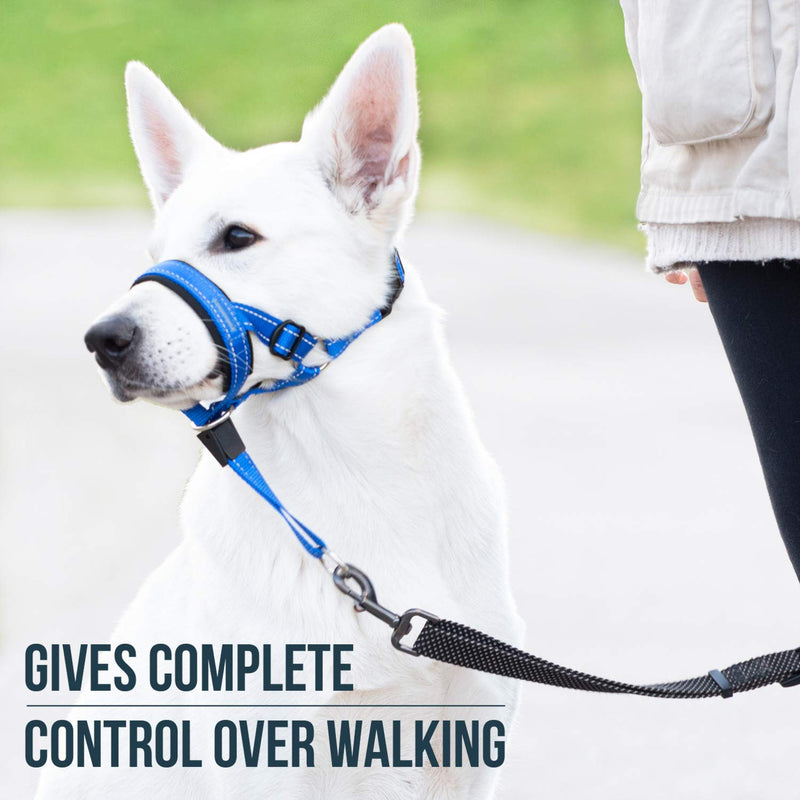 GoodBoy Dog Head Halter with Safety Strap - Stops Heavy Pulling On The Leash - Padded Headcollar for Small Medium and Large Dog Sizes - Head Collar Training Guide Included (Size 2, Blue Nylon) Size 2 (Pack of 1) Blue Nylon / Black Padding - PawsPlanet Australia