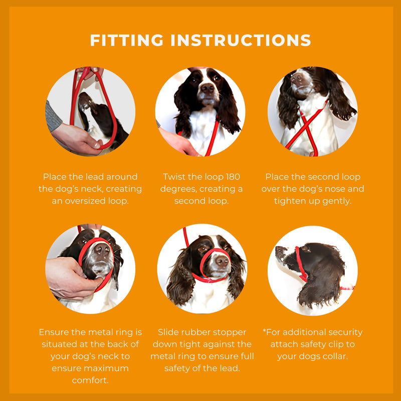 Dog & Field Figure of 8 Dog Leash - Natural. Cotton Rope Leash for Small, Medium & Large Dogs, One Size Fits All, No Collar Or Harness Needed. No Pull Dog Leash, Halter Lead for Dogs, 6.6 FT x 3/8" - PawsPlanet Australia