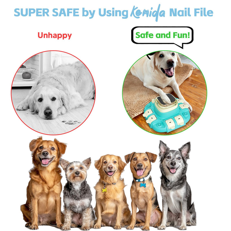 10 Pcs Dog Claw Care Sandpaper - Replacement Sandpapers for Dog Nail File Board Scratch Pad,Dog Claw Grooming Supplies - PawsPlanet Australia