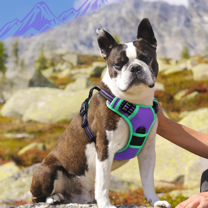 Eagloo Dog Harness Medium, No Pull Harness with Front Back Clips, Adjustable Dog Walking Vest, Soft Padded Pet Vest, Reflective No-Choke Breathable with Easy Control Handle, Purple & Green, M M (Pack of 1) - PawsPlanet Australia