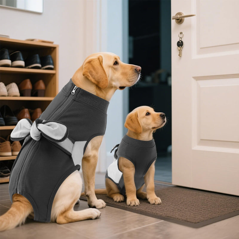 ASENKU Dog Bodysuit Post-Op - Surgery Bodysuit for Dogs with Zip & Lick Protection, Suitable for Castration Male / Female Dog, Ideal for Post-Operative Recovery S gray