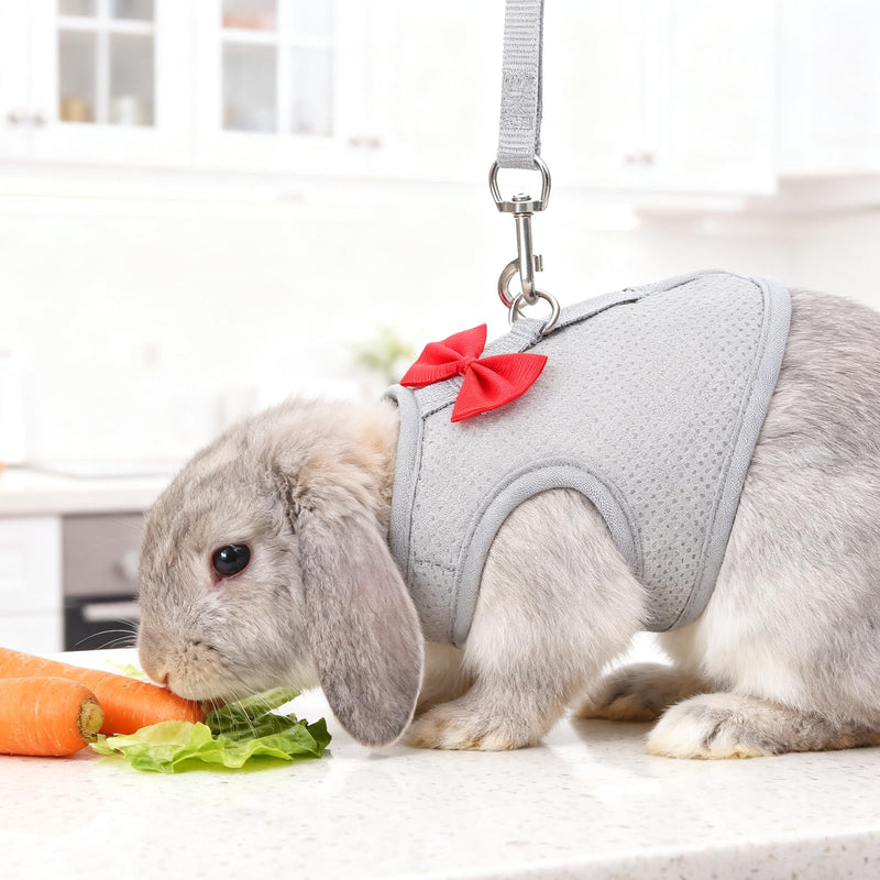 Rabbit Harness and Leash Set with a Cute Bow, Soft Mesh Vest-Style Carrier, Adjustable Rabbit Vest, Suitable for Rabbits, Kittens, Ferrets, Miniature Pigs, and Puppies, Gray Size M - PawsPlanet Australia