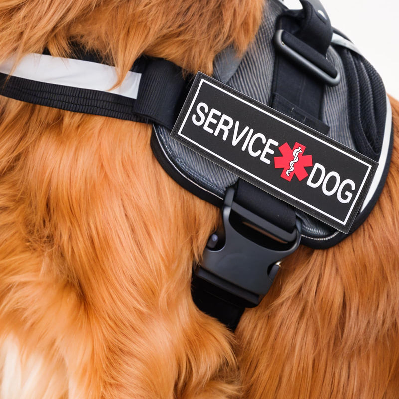 2Pcs Service Dog Patches, Removable Emotional Support Dog Harness Patches for Vest, Black in Training Dog Patch, Working Dog Applique Tactical Dog Equipment Service Dog Patch for Collar Leash (4×2'') - PawsPlanet Australia