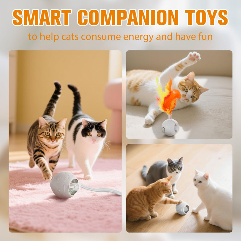 Interactive Cat Toys for Indoor,Automatic Moving Electric Rolling Pet Ball,Smart Teasing Toy for Kitty,3 Modes and USB Rechargeable,Tail 2.0 Cat Feather Toy Gray - PawsPlanet Australia
