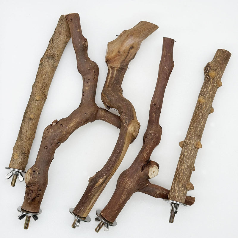 Woohome 5 PCS Natural Grape Stick Natural Wooden Parrot Stand, 3 Grape Wood Perch, 2 Stand, Paw Grinding Fork Bird Perch Stand for Cage Accessorie, Cockatiels, Small Birds WDM-NZG-006 - PawsPlanet Australia