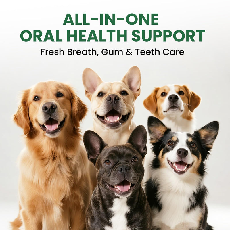 Dog Teeth Cleaning Powder, Dog Dental Powder and Cats Breath Freshener, Plaque Off Pet Tooth Cleaning lab co, Bad Breath & Tartar Remover, Dog Teeth Cleaning with Enzymes-Green Tea