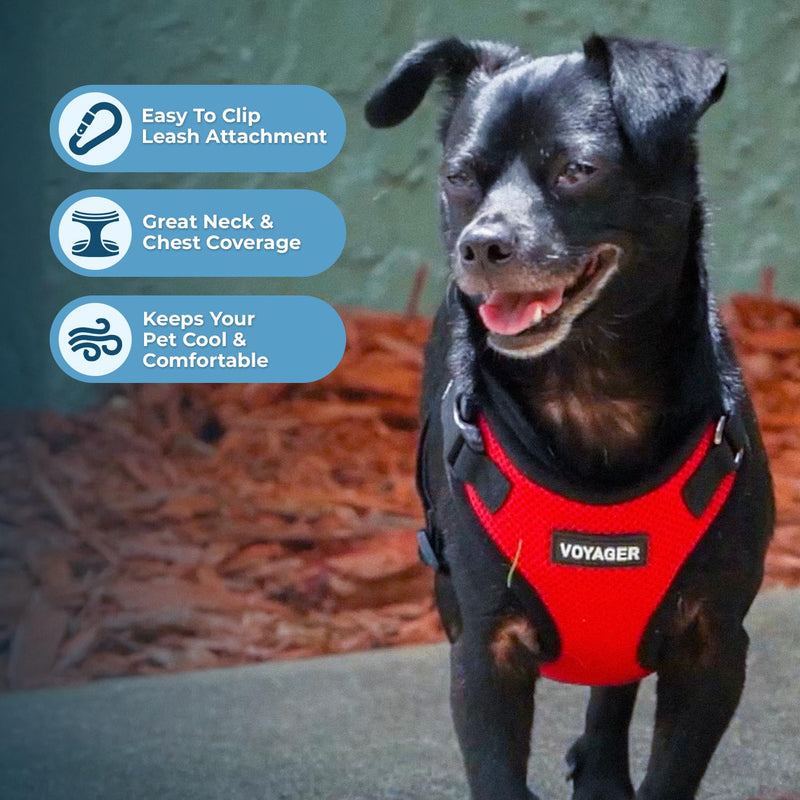 Voyager Step-in Lock Dog Harness w Reflective Dog Leash Combo Set with Neoprene Handle 5ft - Supports Small, Medium and Large Breed Puppies/Cats by Best Pet Supplies - Red/Black Trim, M - PawsPlanet Australia