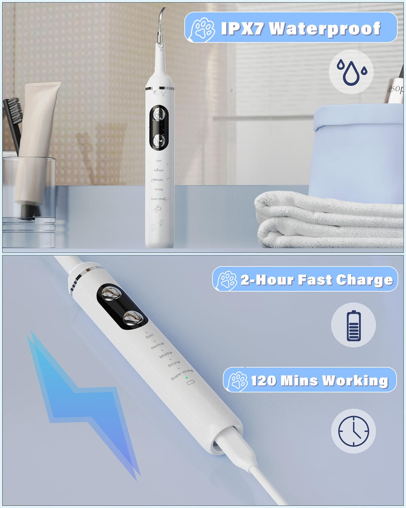 Plaque Remover for Teeth, Pet Tooth Brushing Kit, Dental Tools to Remove Plaque and Tartar, Safe for Dog and Cat, with LED Light, White - PawsPlanet Australia