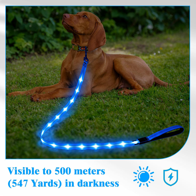 Light Up Dog Leash, 5 Ft LED Dog Lead Rechargeable Glowing Pet Leash with Soft Padded Handle, Safety Dog Lights for Night Walking (Blue) Blue - PawsPlanet Australia