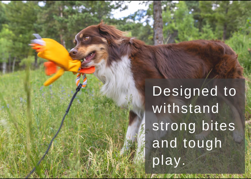 Flirt Pole for Dogs Heavy Duty - Multi-Sensory Tough Chase Toy for Medium & Large Breeds – Extra Strong 39" Dog Teaser Wand for Backyard Play, Training and Interactive Fun (Duck) Duck - PawsPlanet Australia