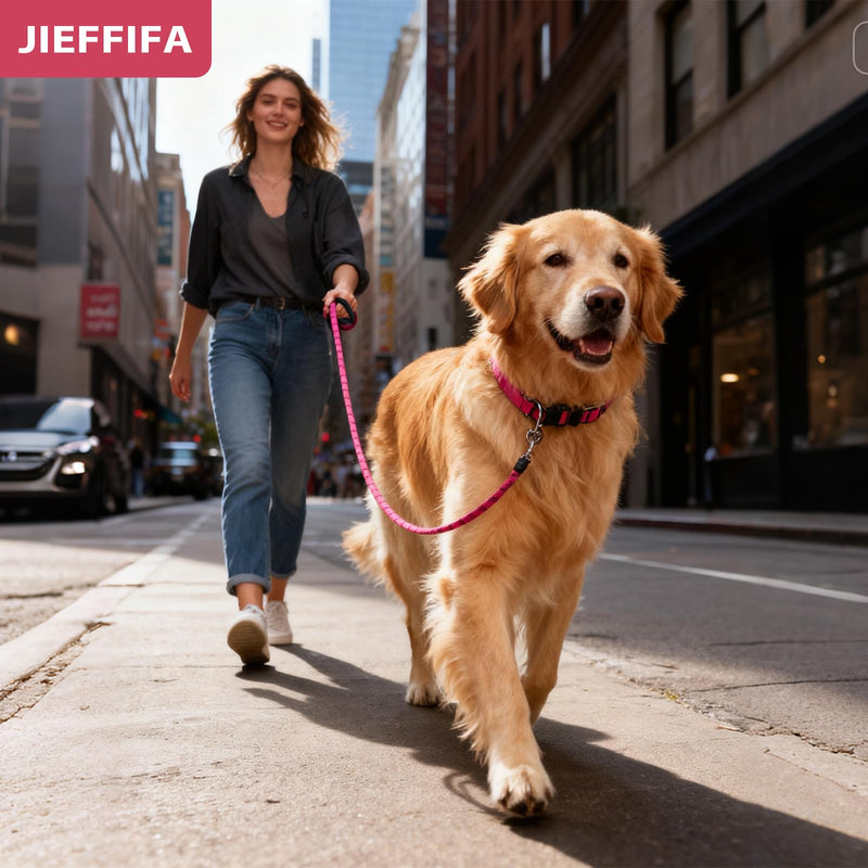 Nylon Dog Leash for Medium Large Dogs, 5-FTReflective Heavy Duty Leash with Comfortable Handle & Poop Bag Dispenser Ring, 1/2 Inch Wide, Secure Reinforcement for Walking(L/Red) Red L - PawsPlanet Australia