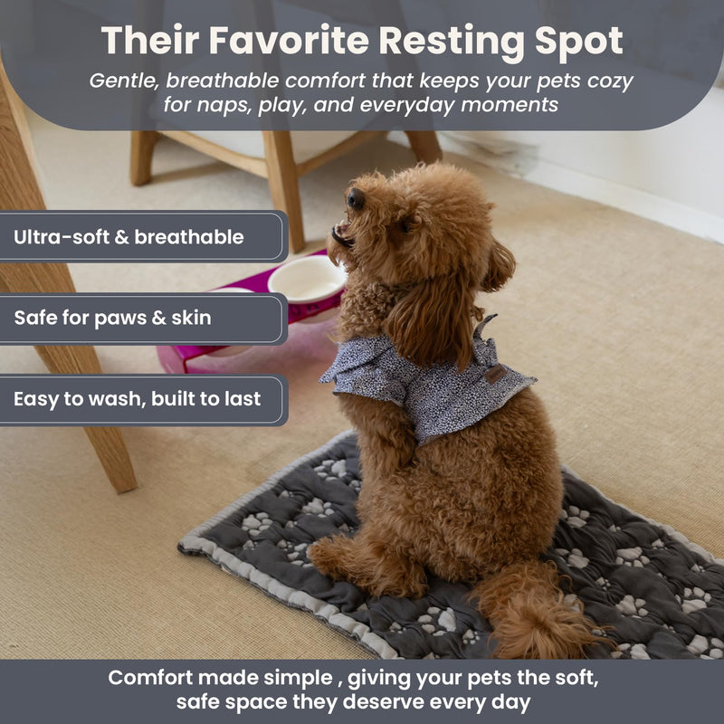 PetMat in Charcoal Harbor Mist | Organic Cotton Crate Pad for Small Dogs & Cats | Reversible & Seamless | Soft 3D Knit | Washable Pet Mat | Stylish 16x24 Pad for Crates & Nurseries 16X24 In - PawsPlanet Australia