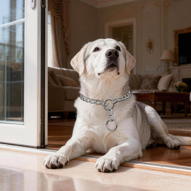 Choke Chain for Dogs Heavy Duty Slip Collars Chew Proof Metal Slip Link Dog Collar Chain for Medium Large Big XL Breed Dogs, Silver XL XL(Neck Max 22inch)D4mm - PawsPlanet Australia