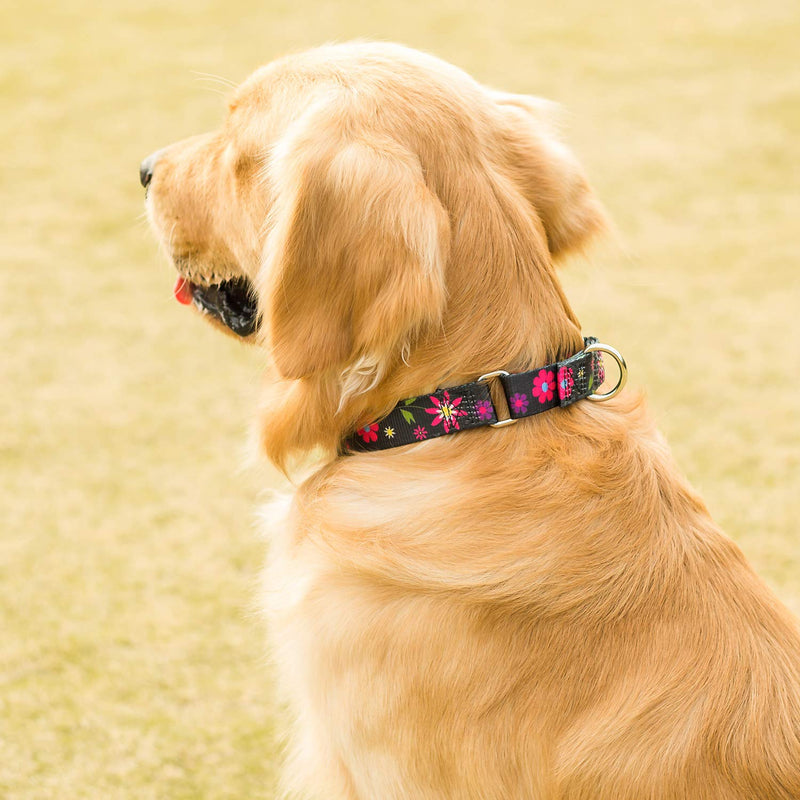 Martingale Collar Floral Print Dog Collar - No Pull Pet Collar, Heavy Duty for Medium Dogs, Adjustable Neck 14 Inch to 21 Inch, Sun Flower (Black) Medium, 1 Inch Wide Sun Flower - Black - PawsPlanet Australia