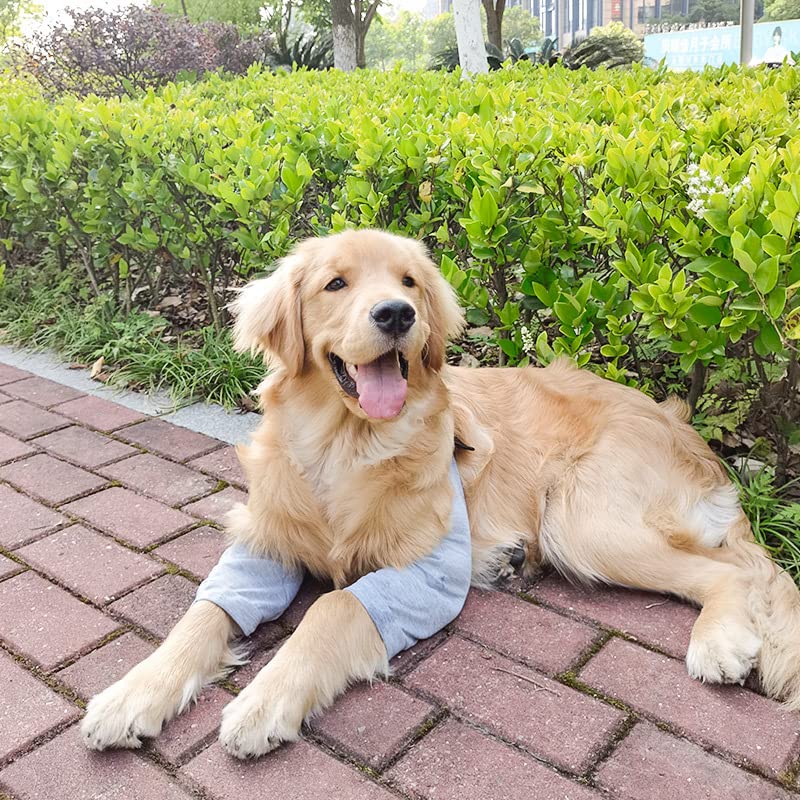 Dog Recovery Suit Front Legs, Dog Recovery Sleeve After Surgery with Elastic Band, Protective Elbow Protector for Medium Large Dogs, Dog Cone Alternative to Stop Licking Leg Wounds,Grey,L L(Sleeve Length:9.1") A-Light Grey - PawsPlanet Australia
