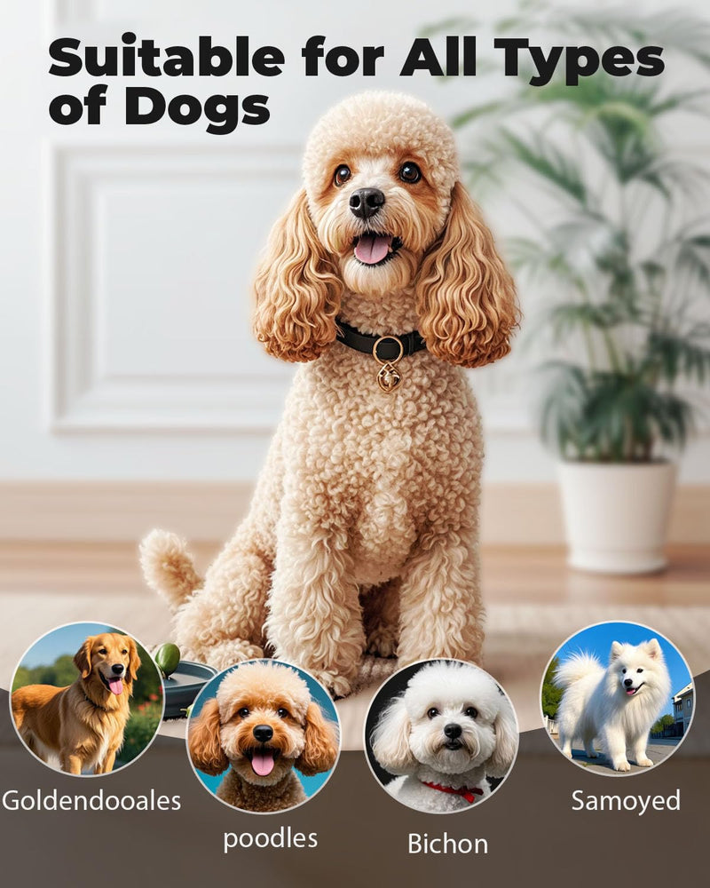 Professional Pet Slicker Brush for Long Haired Dogs&Cats Large Grooming Tool for Dematting, Detangling, Removes Loose Fur,Suitable for Doodles,Poodles,Goldendoodle, Labradoodle, Long Thick Curly Coats Black - PawsPlanet Australia
