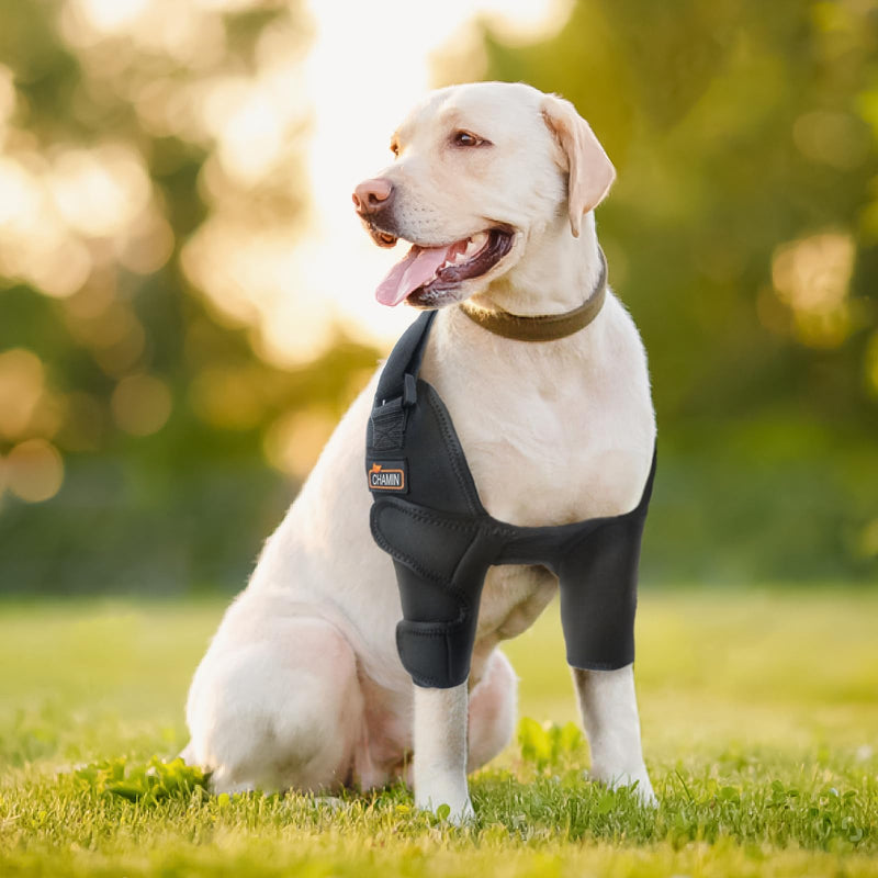 CHAMIN Dog Elbow Brace for Elbow Support and Protection, Protector Pads Hygroma, Elbow Pads for Dogs Dysplasia, Calluses, Elbow Wound Healing,et(Both Legs,XXL) Both Legs Extra Extra Large - PawsPlanet Australia